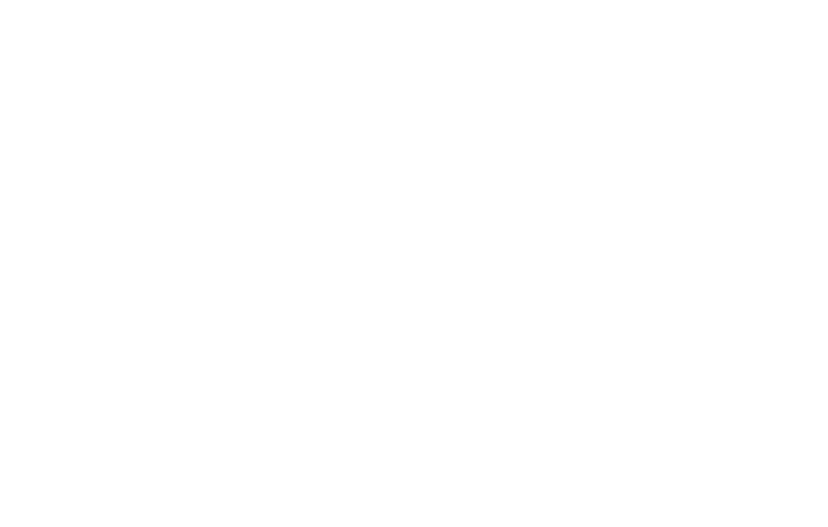 One Fifth Logo